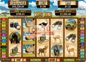 White Rhino Slot Game - WinPalace Casino