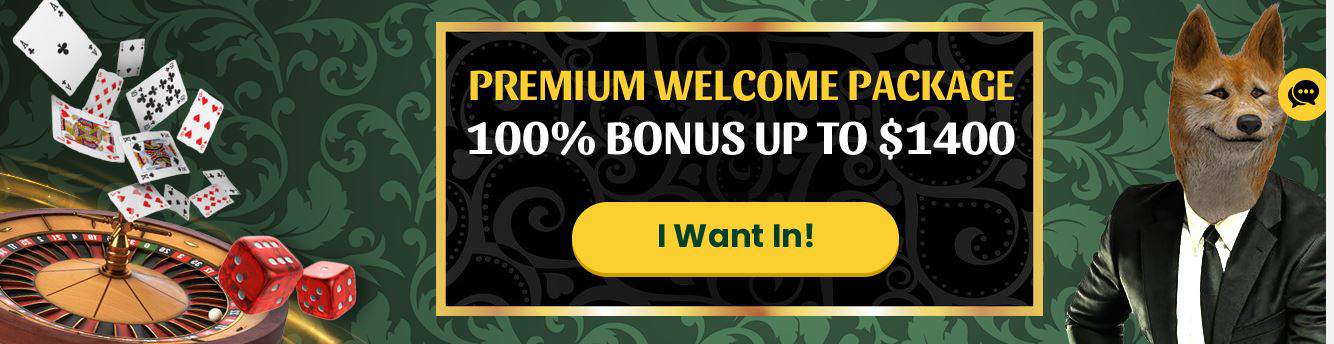 Casino Dingo Welcome Bonus