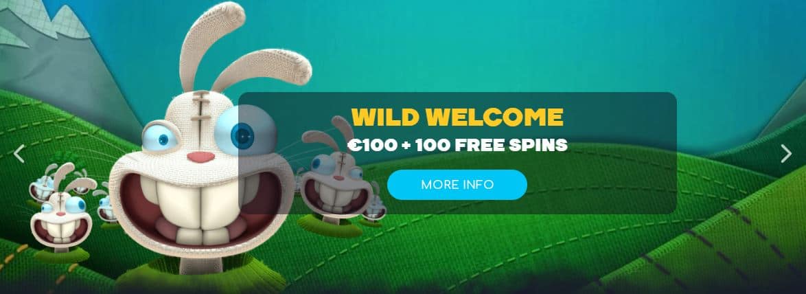 WildTornado Welcome Bonus