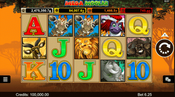 Animal slot with tigers, elephants, giraffes and water buffalo