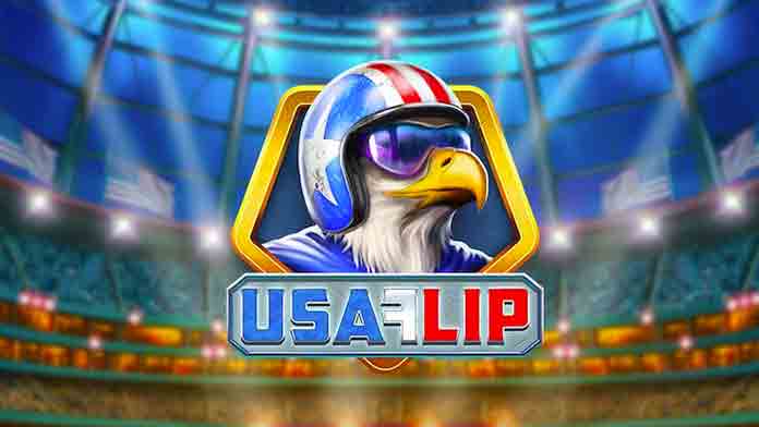 USA Flip Logo