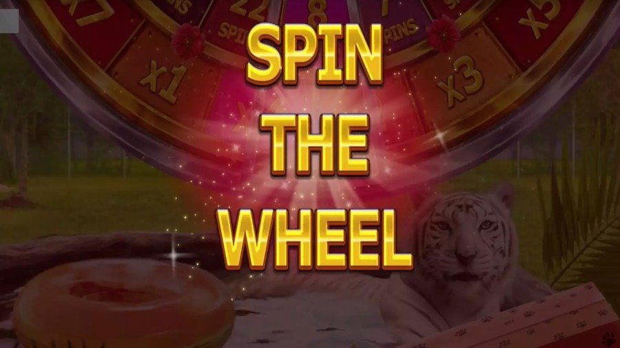 Big Cat Rescue Megaways™ Free Spins Wheel