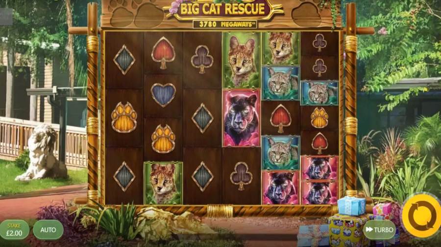 Big Cat Rescue Megaways™ Gameplay