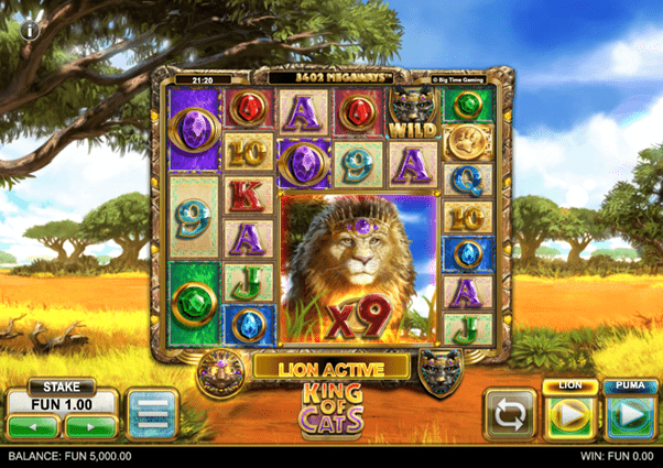 King of cats slot screenshot