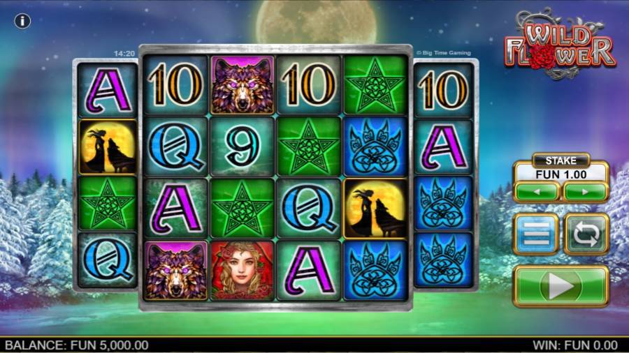 Wild Flower Gameplay