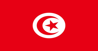 tunisia flag 325x170